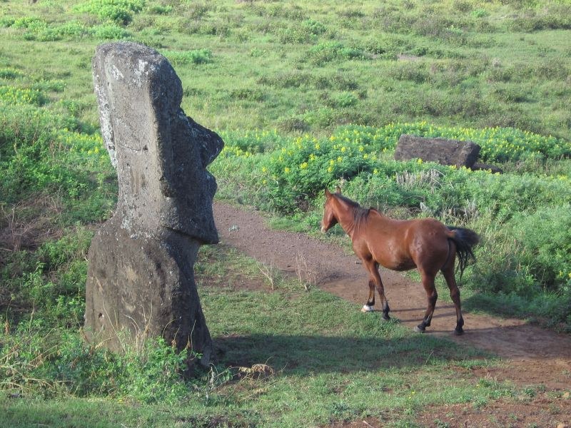 moai horse path trail Rano Raraku